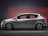 Car films Seat Ibiza(2002 - 2008 5 door)