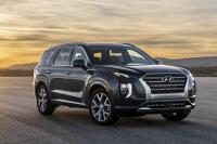 Car films Hyundai Palisade(2020 - 2022 )