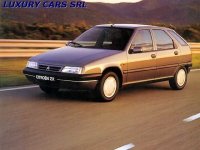 Pelìculas de coches citroen ZX(1991 - 1998 5 door)