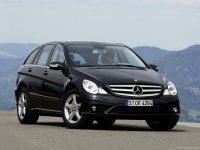 Pellicole auto mercedes classe R(2006 - 2009 long)