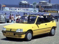 Pellicole auto Peugeot 205(1983 - 1996 cabriolet)