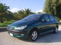 Pellicole auto Peugeot 206(1999 - 2006 5 porte)