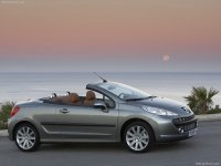 Car films Peugeot 207(2007 cc)