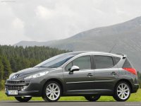 Car films Peugeot 207(2007 sw)