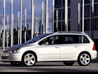 Pellicole auto Peugeot 307(2002 - 2006 sw)