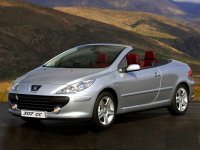 Pellicole auto Peugeot 307(2004 - 2005 cc)