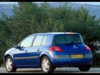 Car films Renault megane(2002 - 2008 5 door)