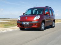 Car films Renault kango(2008 - 2009 )