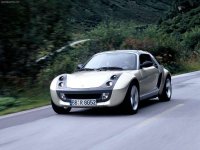 Car films Smart roadster(2003 - 2006 coupe)